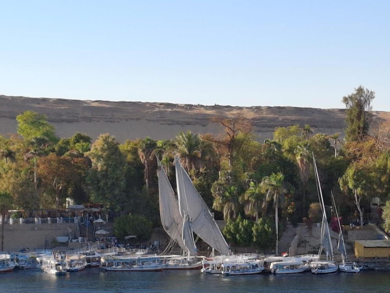 El Prince Guesthouse Aswan Eksteriør bilde